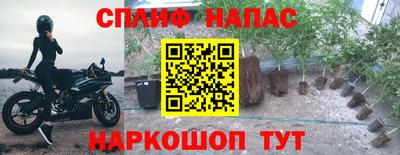 кокс Будённовск