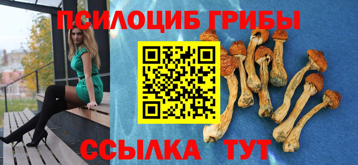 Псилоцибиновые грибы MAGIC MUSHROOMS Учалы