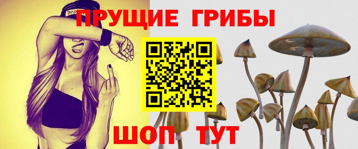 Галлюциногенные грибы Magic Shrooms  Псилоцибиновые грибы Psilocybine cubensis  Вход с VPN  Учалы 